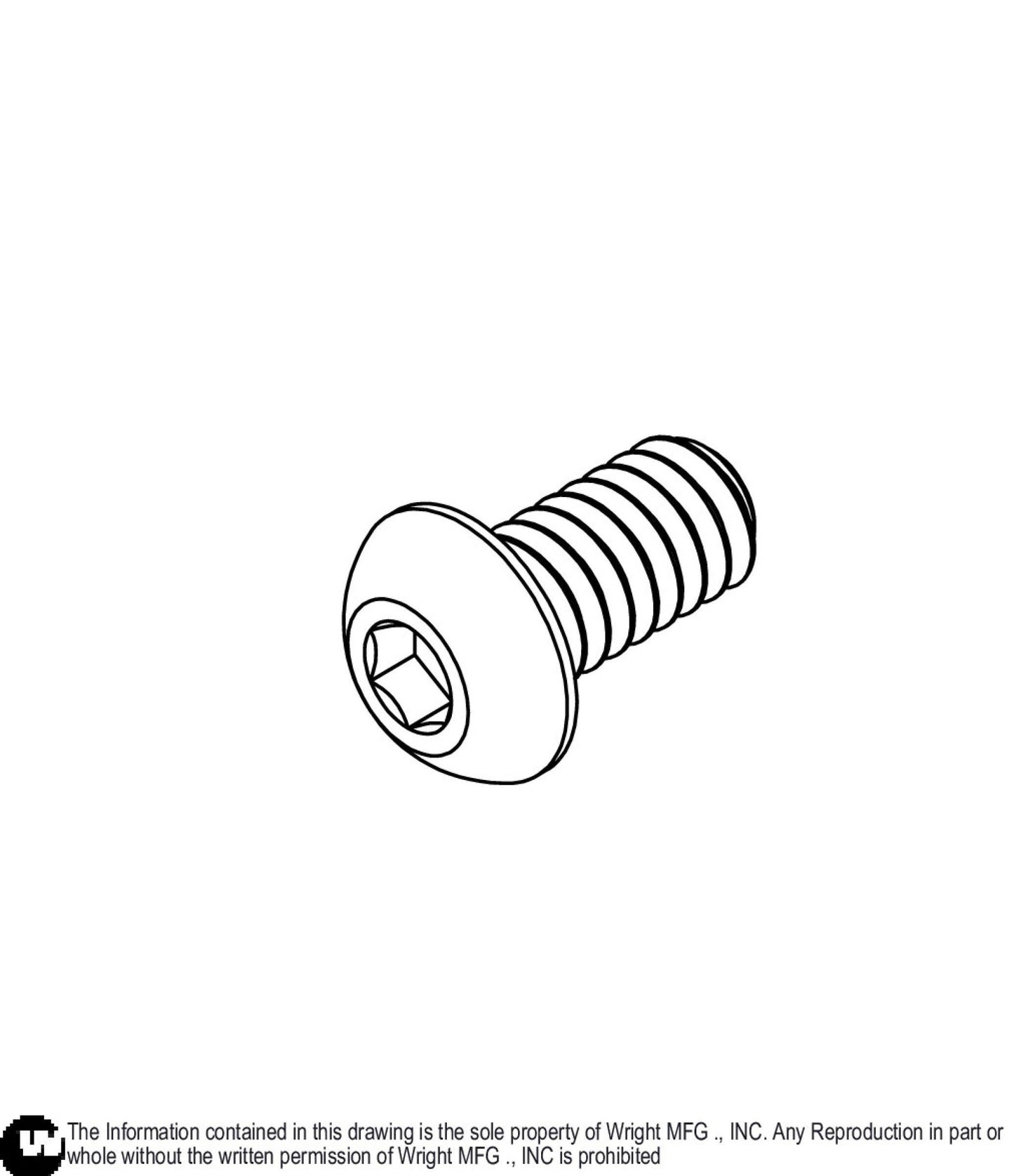 Button Head Hex Screw 1/4 - 20 x 1/2 11990210.