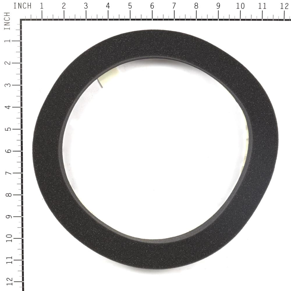 Briggs & Stratton Seal-Foam 199629GS