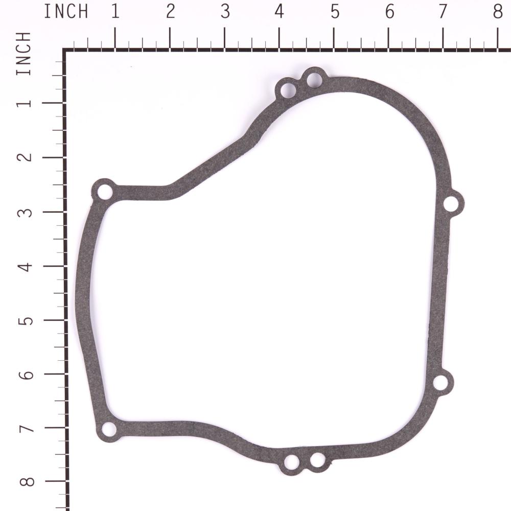 Briggs & Stratton Gasket-Crkcse/015 270069