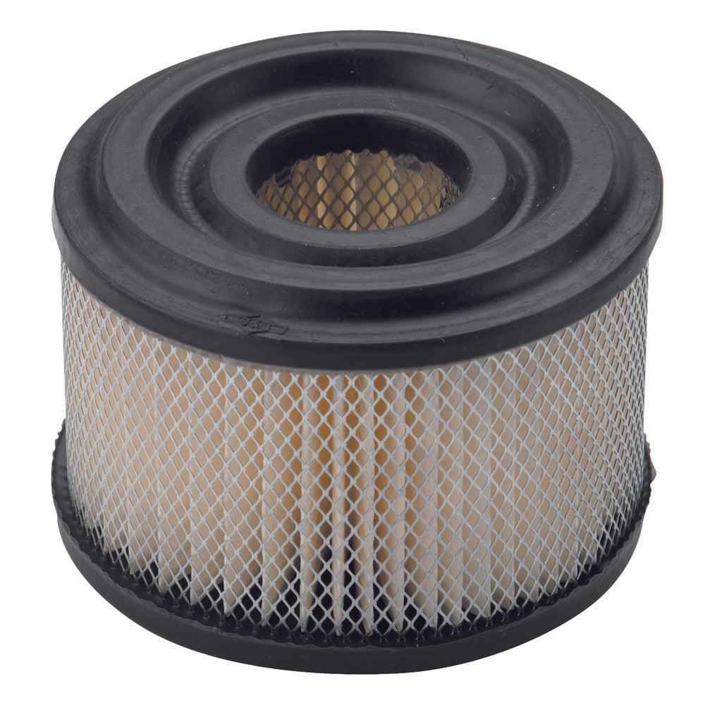 Briggs & Stratton Filter-A/C Cartridge 390492
