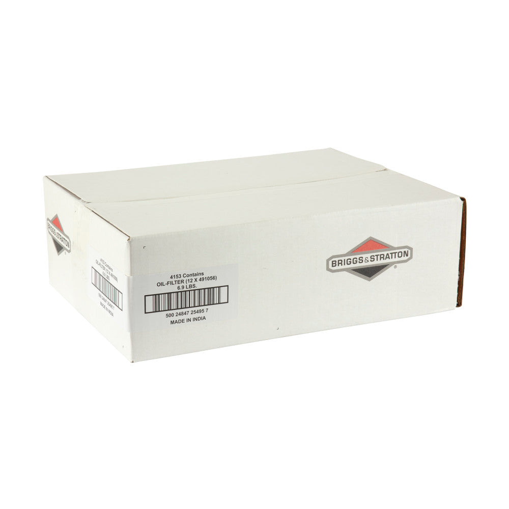 Briggs & Stratton Oil-Filter (12 X 491056) 4153