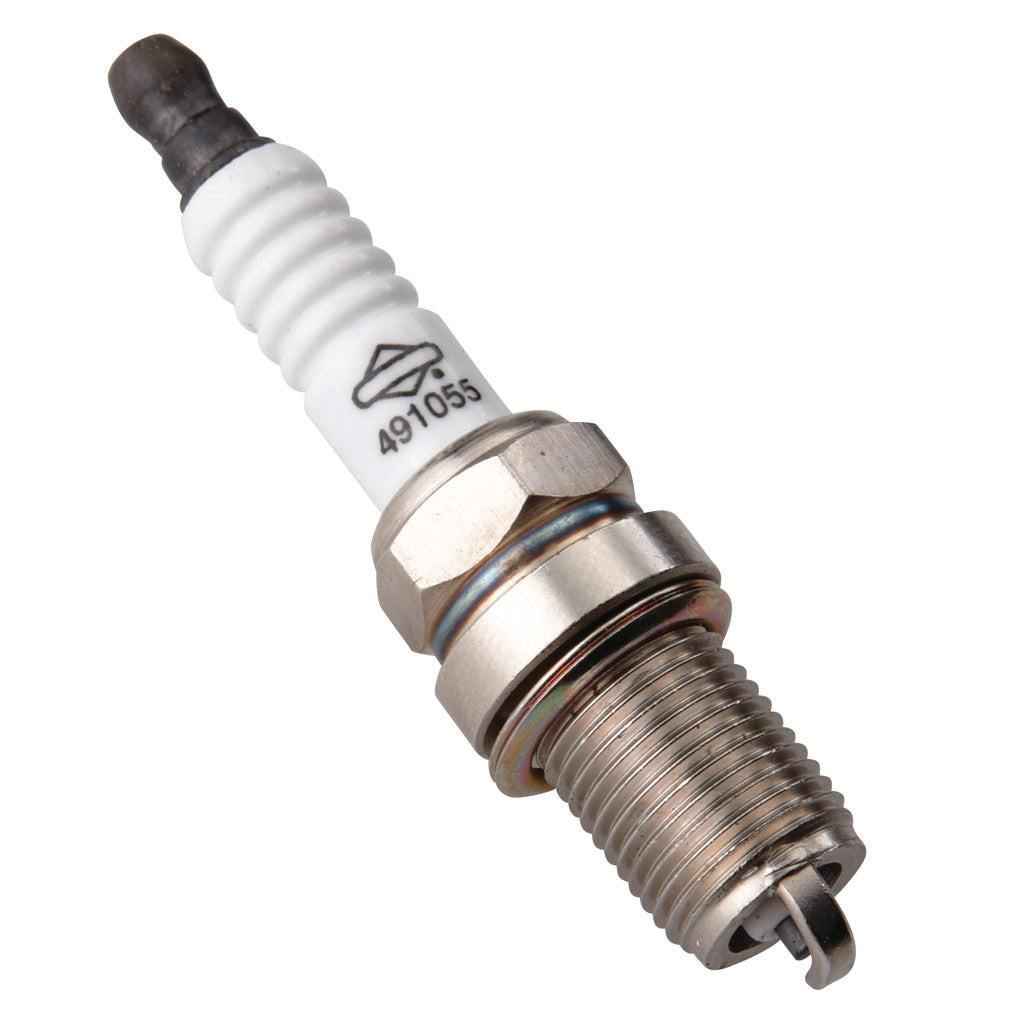 Briggs & Stratton Plug-Spark 491055S