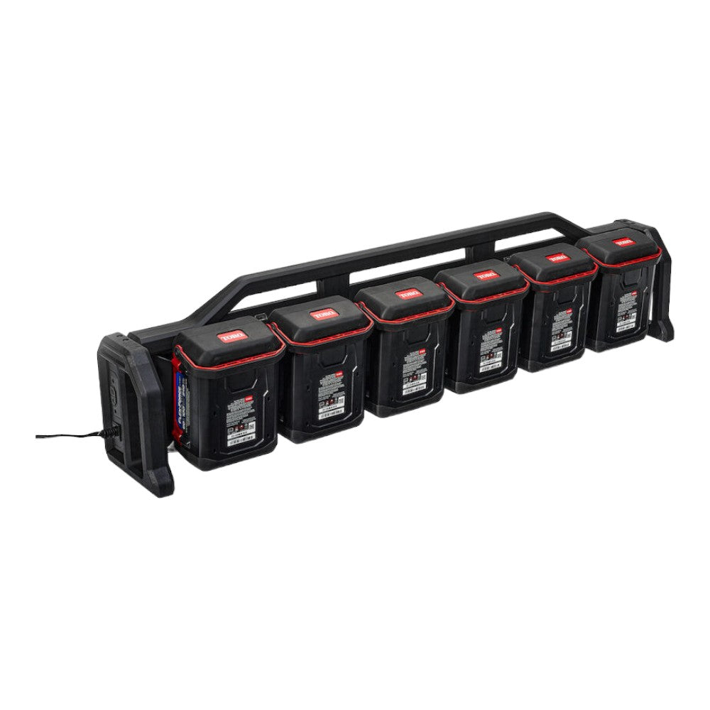 Exmark 6 Pod Charger, 60V 66550