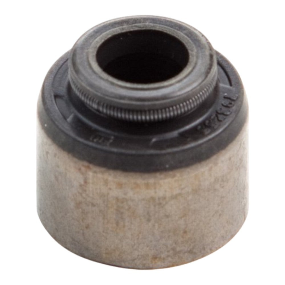 Briggs & Stratton Seal-Valve 795440