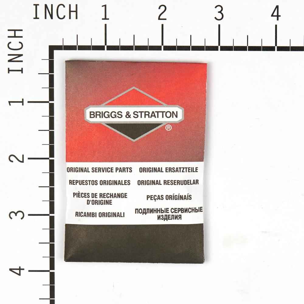 Briggs & Stratton Kit-Carb Overhaul 796612