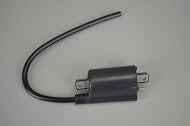Briggs & Stratton Coil-Ignition 820037