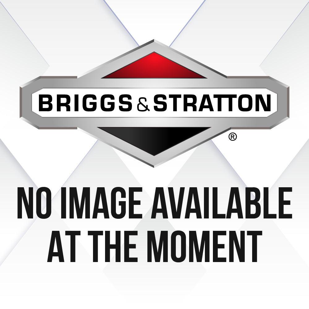 Briggs & Stratton Cap-Oil Fill 281658S.
