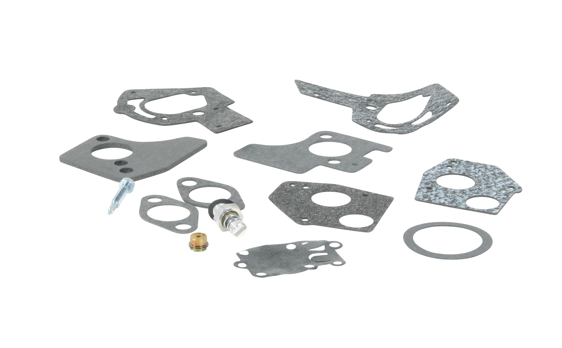 Overhaul Kit - Briggs and Stratton 495606