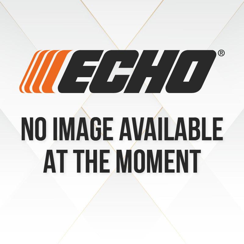 Echo 56V 10" Chain.