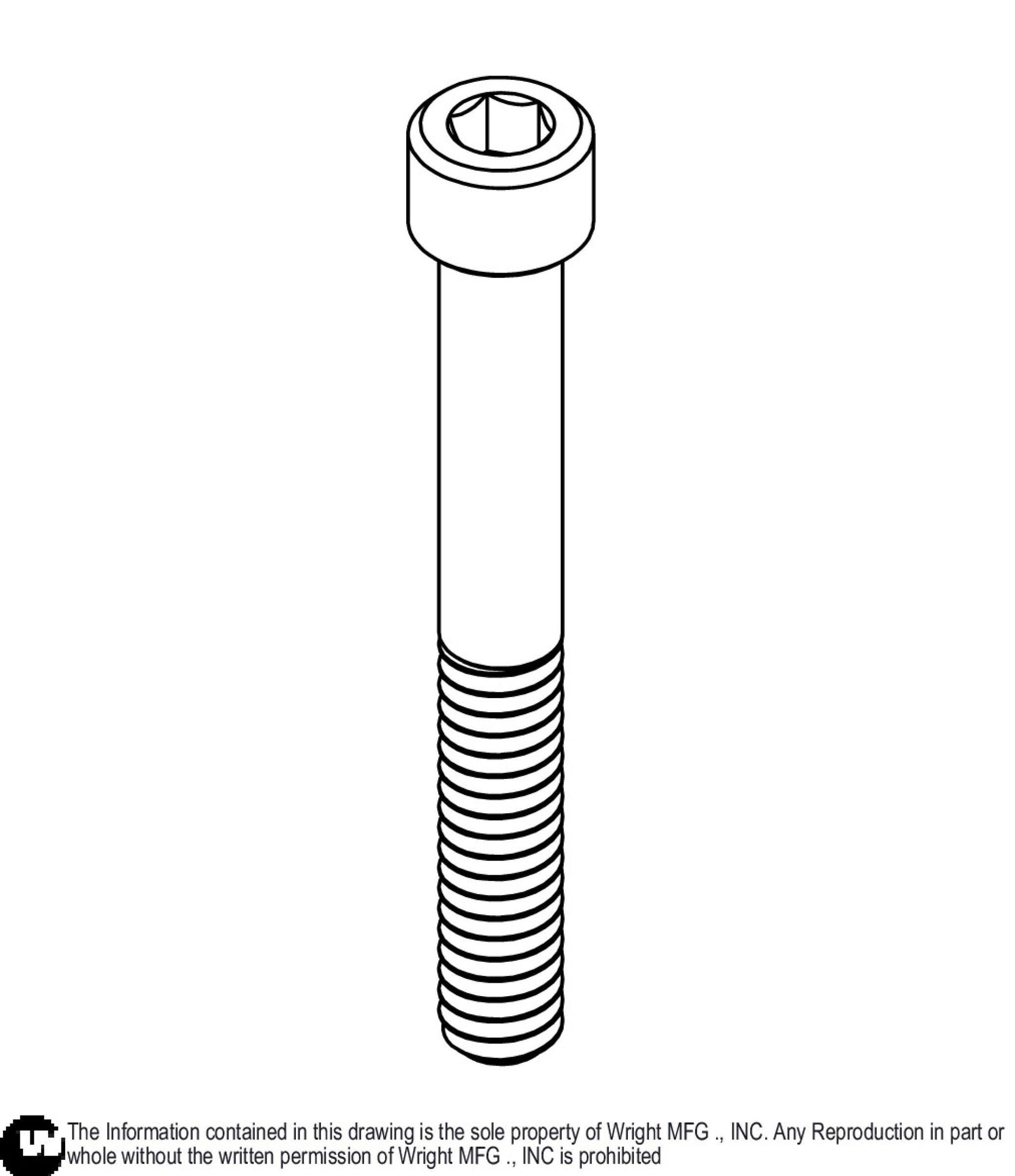 Allen Bolt 1/4-20 x 2 11990019.