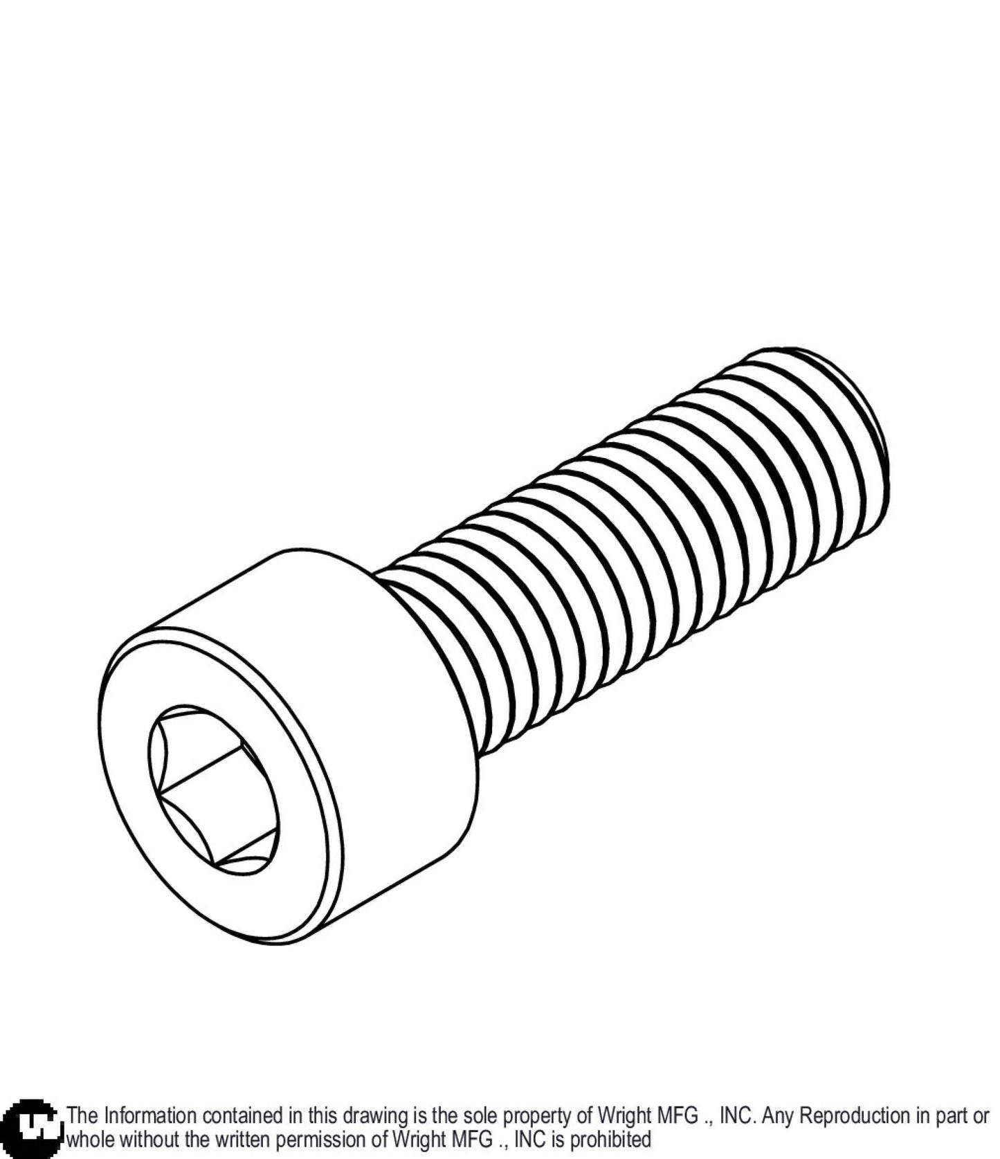 Hex Socket Screw M8-1.25 x 25, Patch 11990180.
