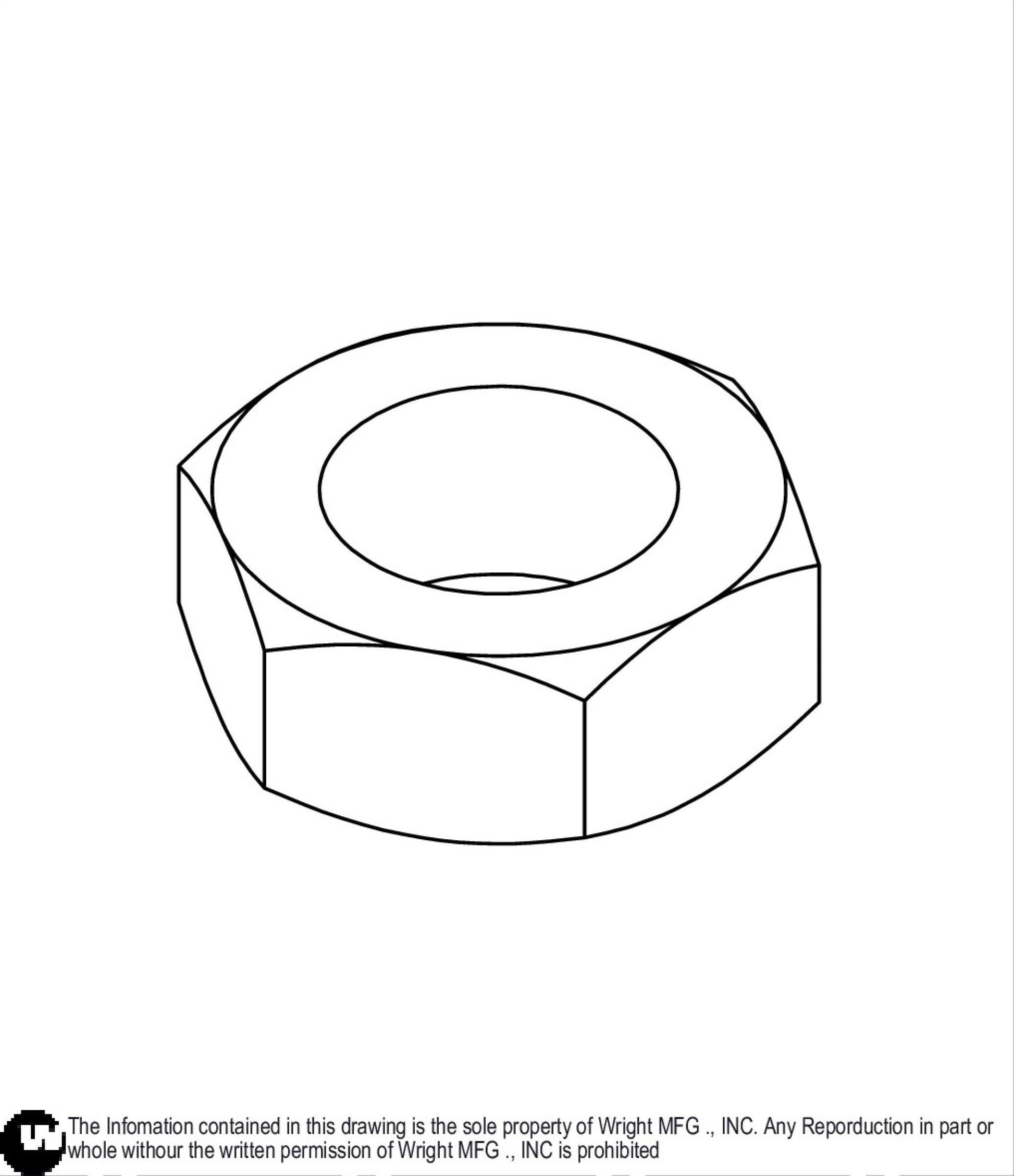 Hex Jam Nut 5/16-24 Z 12990053.