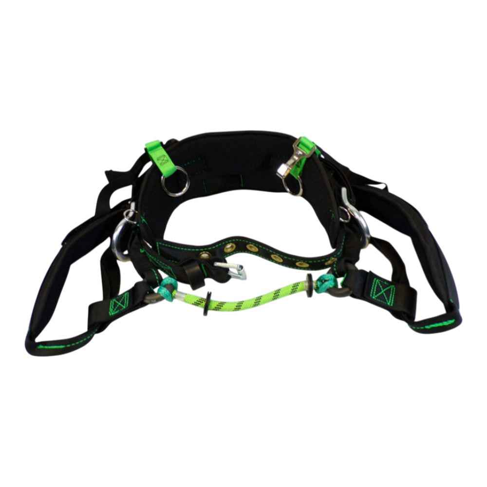 BuckCat Medium 16905W1M