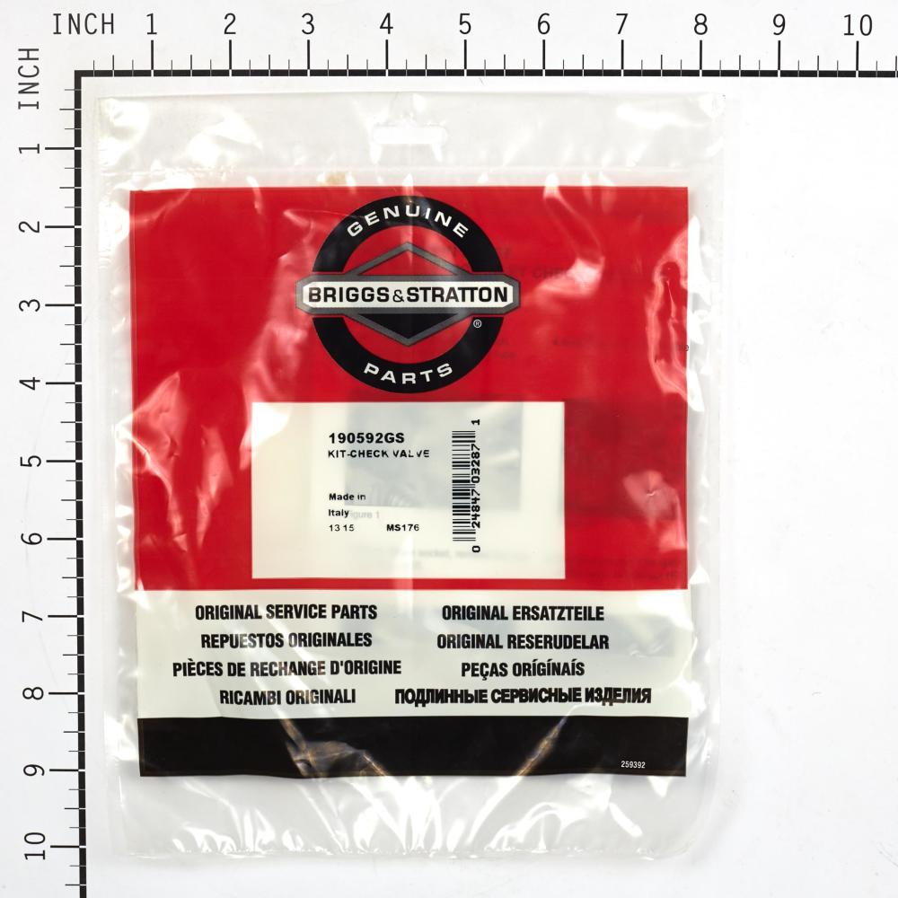 Briggs & Stratton Kit-Check Valve 190592GS