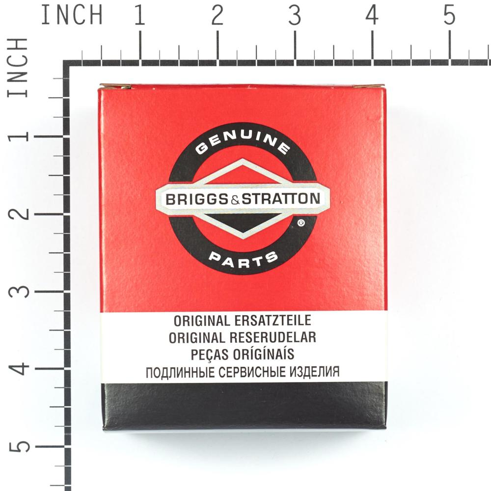 Briggs & Stratton Tube 194813GS