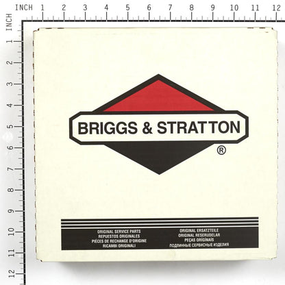 Briggs & Stratton Seal-Foam 199629GS