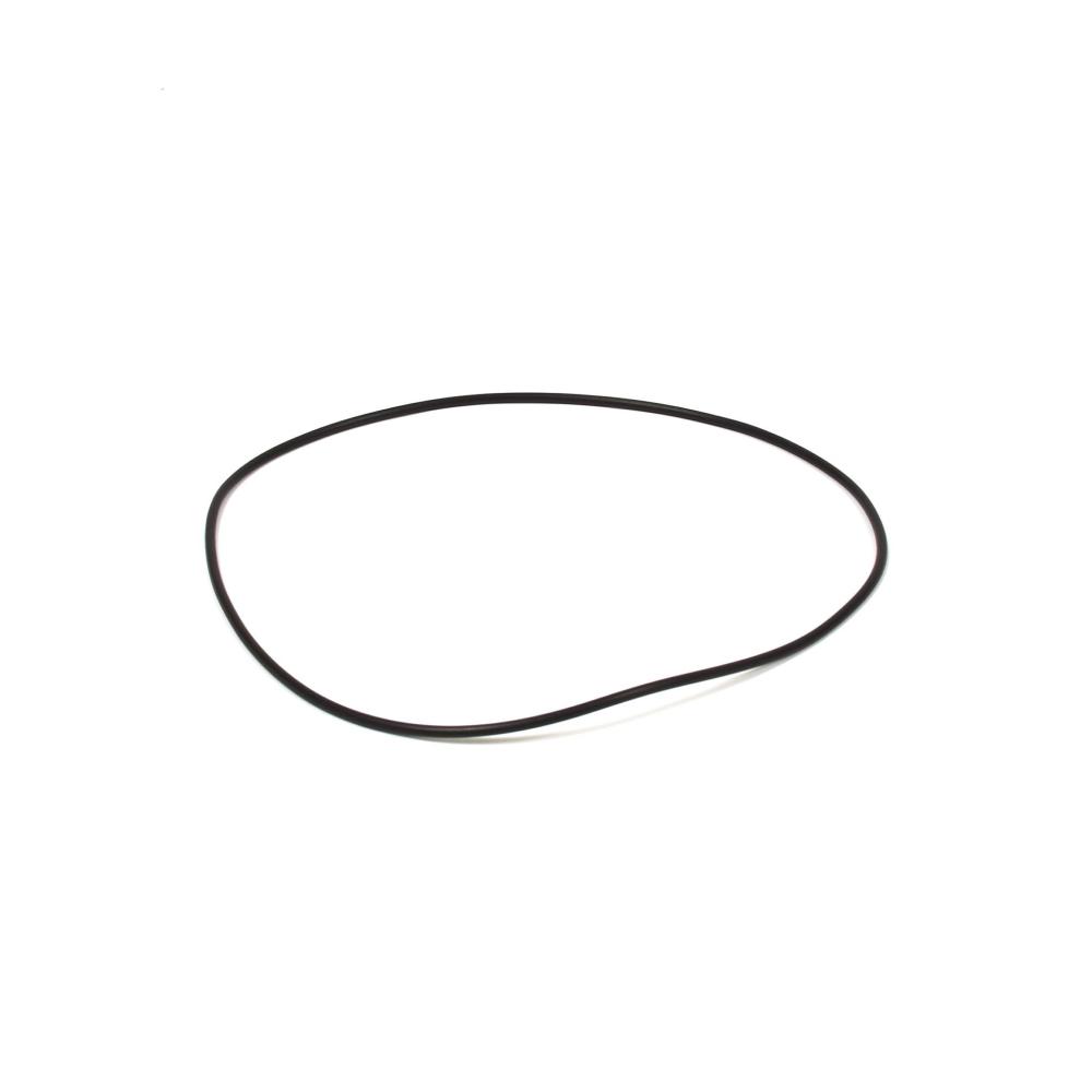Briggs & Stratton O-Ring 205325GS