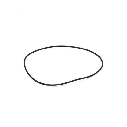 Briggs & Stratton O-Ring 205325GS