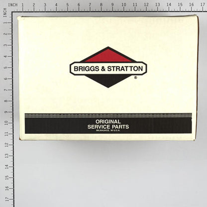 Briggs & Stratton Pump 206376GS