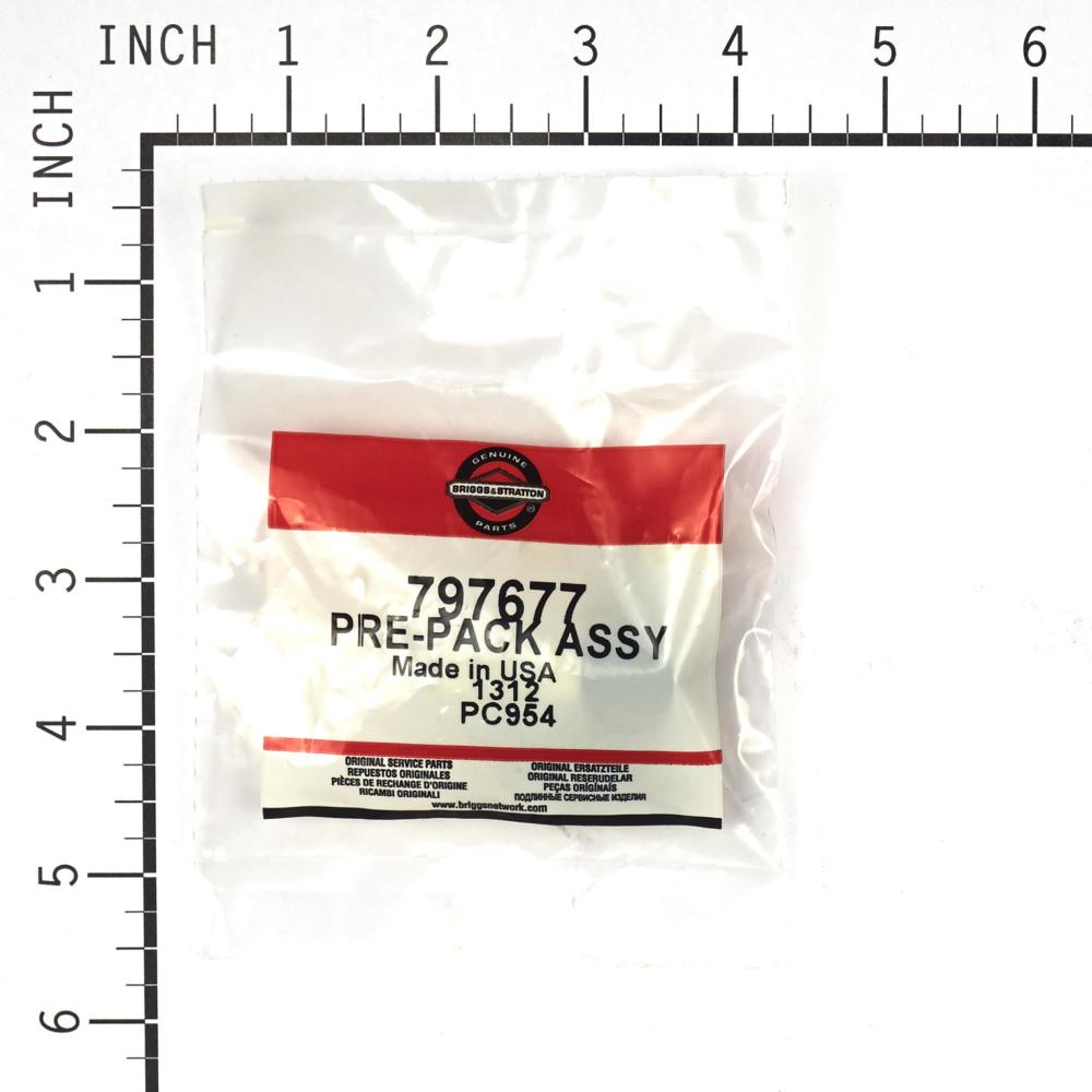 Briggs & Stratton Pump 206376GS