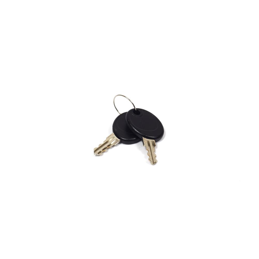 Briggs & Stratton Key-Latch 207652GS