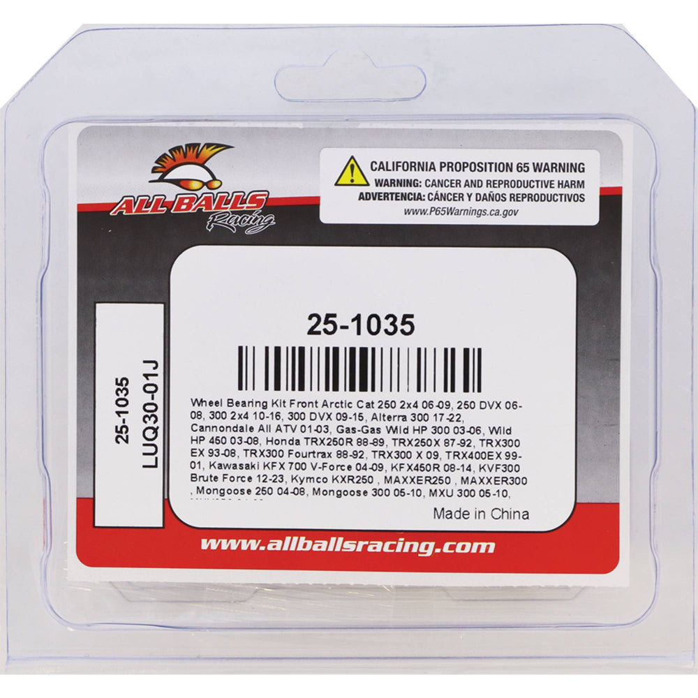 All Balls Racing Wheel Bearing Kit 25-1035