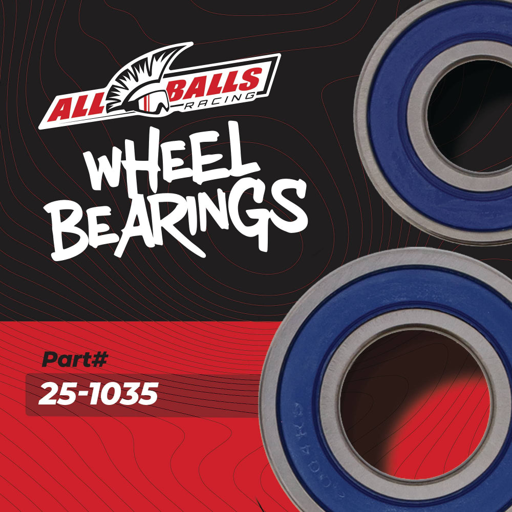 All Balls Racing Wheel Bearing Kit 25-1035
