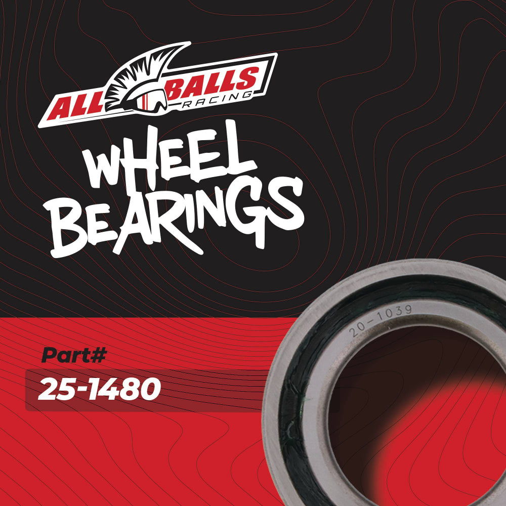 All Balls Racing Wheel Bearing Kit 25-1480