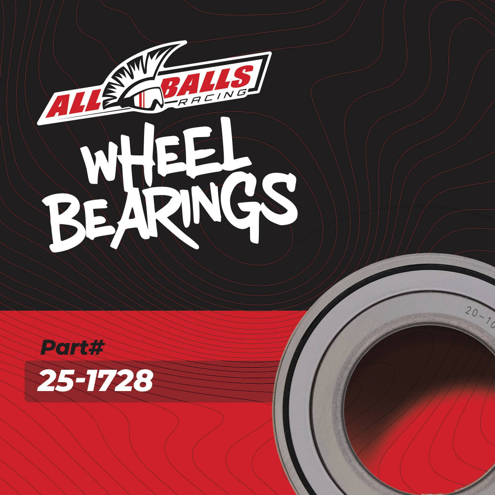 All Balls Racing Wheel Bearing Kit 25-1728