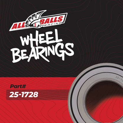 All Balls Racing Wheel Bearing Kit 25-1728