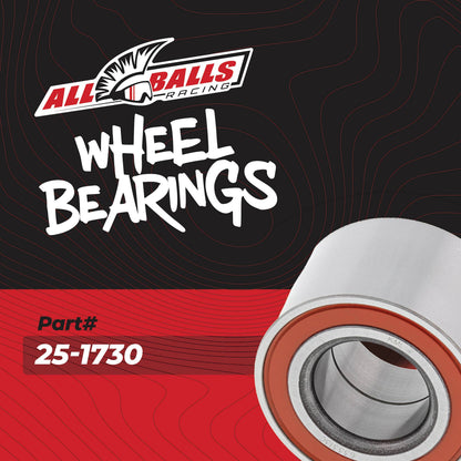 All Balls Racing Wheel Bearing Kit 25-1730