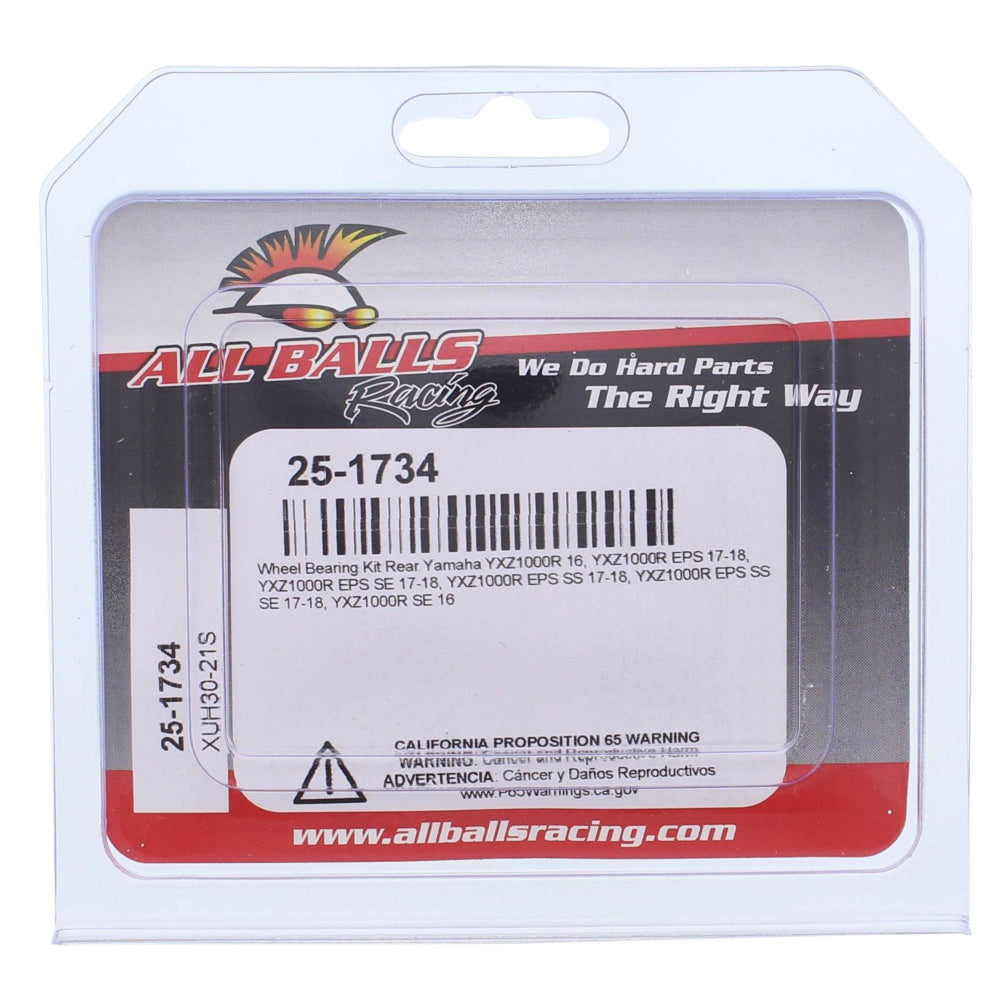 All Balls Racing Wheel Bearing Kit 25-1734