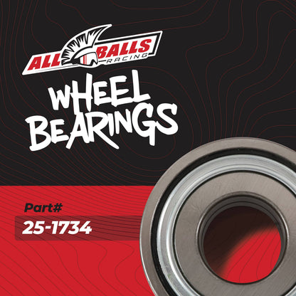 All Balls Racing Wheel Bearing Kit 25-1734