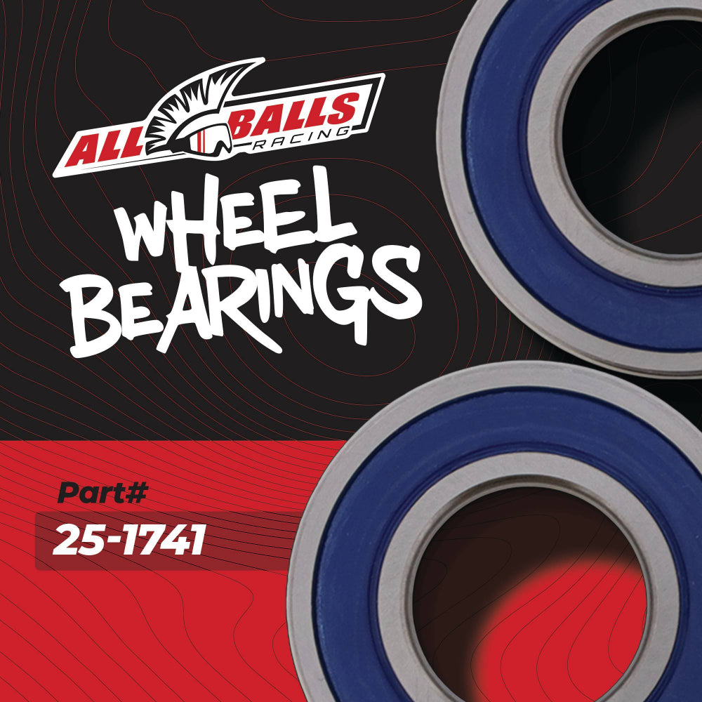 All Balls Racing Wheel Bearing Kit 25-1741