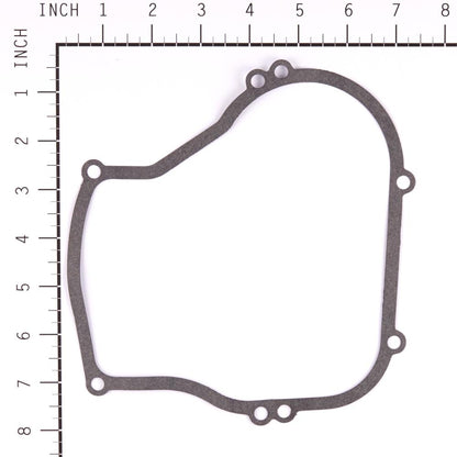 Briggs & Stratton Gasket-Crkcse/015 270069