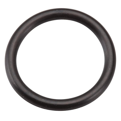 Briggs & Stratton Seal-O Ring 270344S.