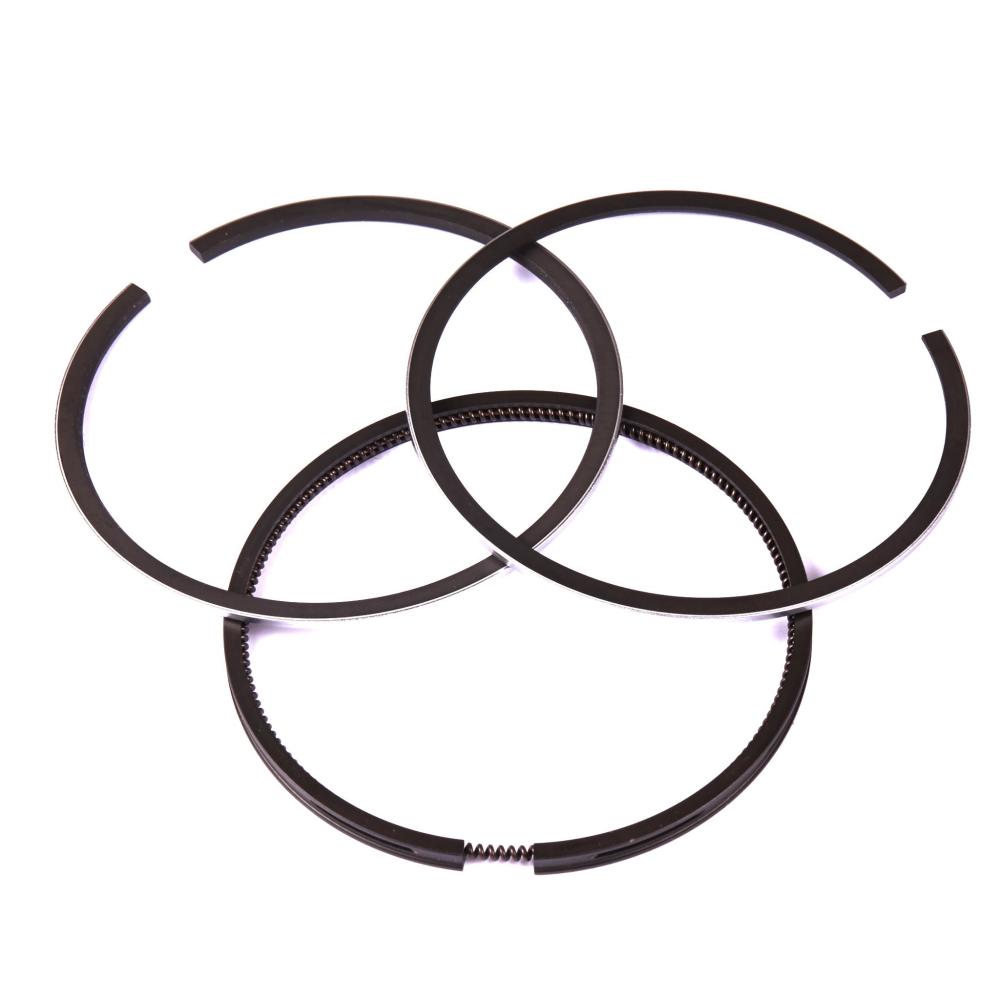 Briggs & Stratton Ring Set-Std 299690