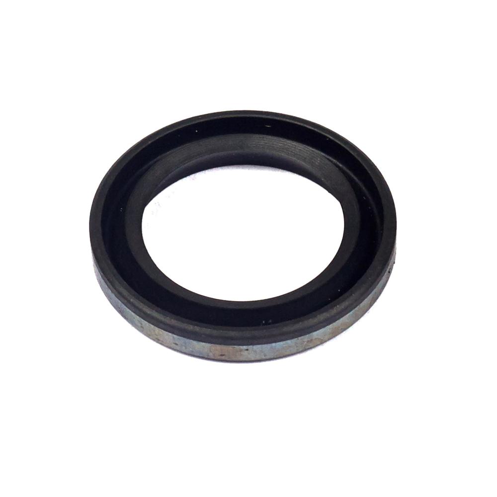 Briggs & Stratton Seal-Oil 299819S