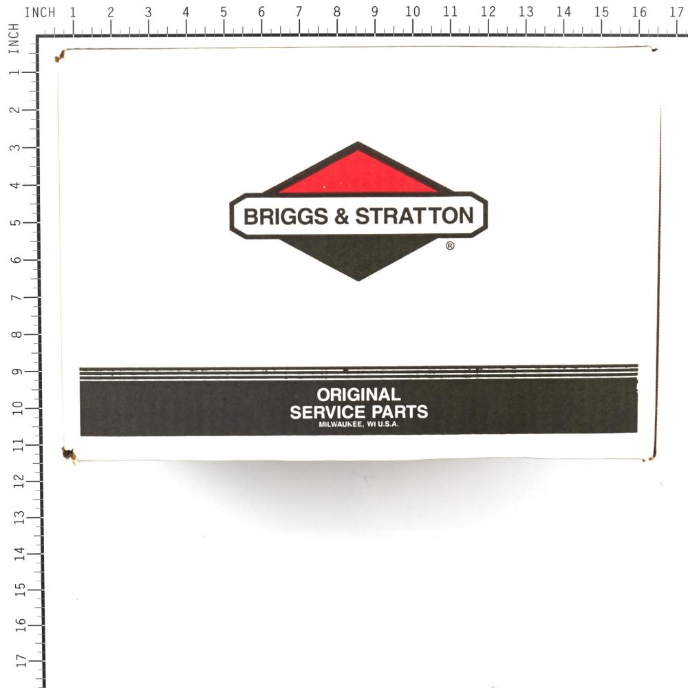 Briggs & Stratton Pump 311553GS