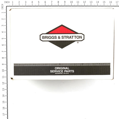 Briggs & Stratton Pump 311553GS