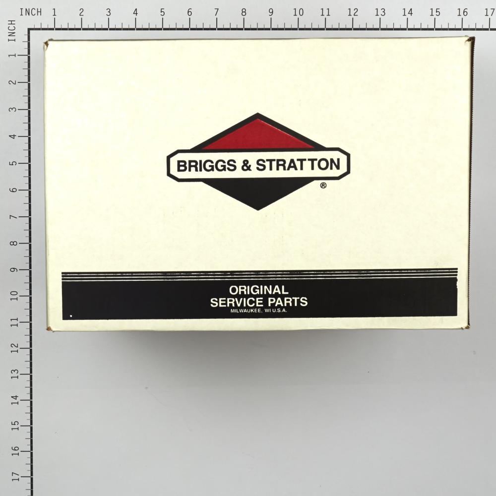 Briggs & Stratton Pump 311966GS