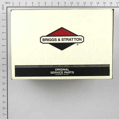 Briggs & Stratton Pump 311966GS