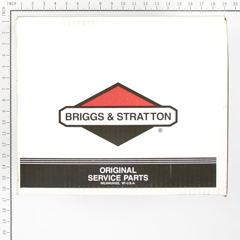 Briggs & Stratton Pump 314441GS