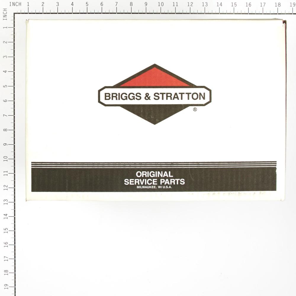 Briggs & Stratton Pump 317055GS