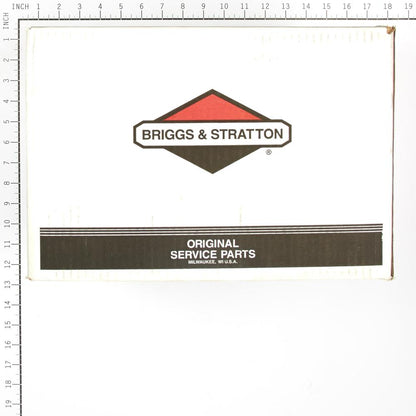Briggs & Stratton Pump 317259GS