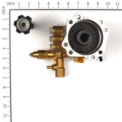 Briggs & Stratton Pump 317604GS