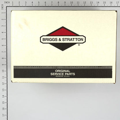 Briggs & Stratton Pump 317991GS