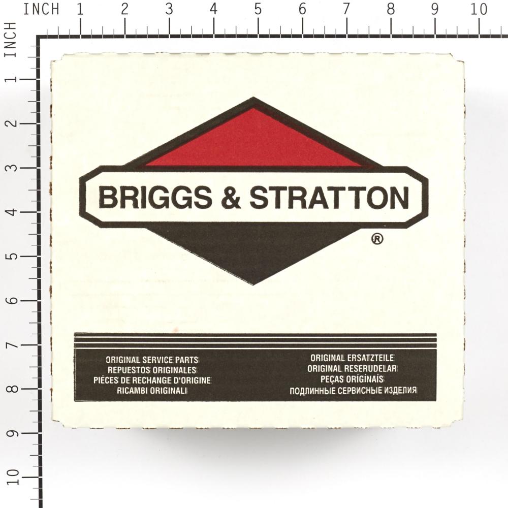 Briggs & Stratton Carburetor 391065