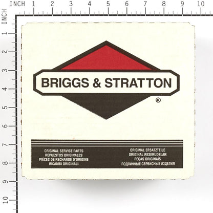 Briggs & Stratton Carburetor 391065