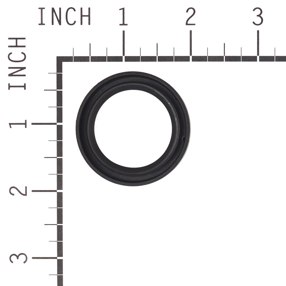 Briggs & Stratton Seal-Oil 391086S